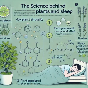 sleep-enhancing plants, air-purifying plants

