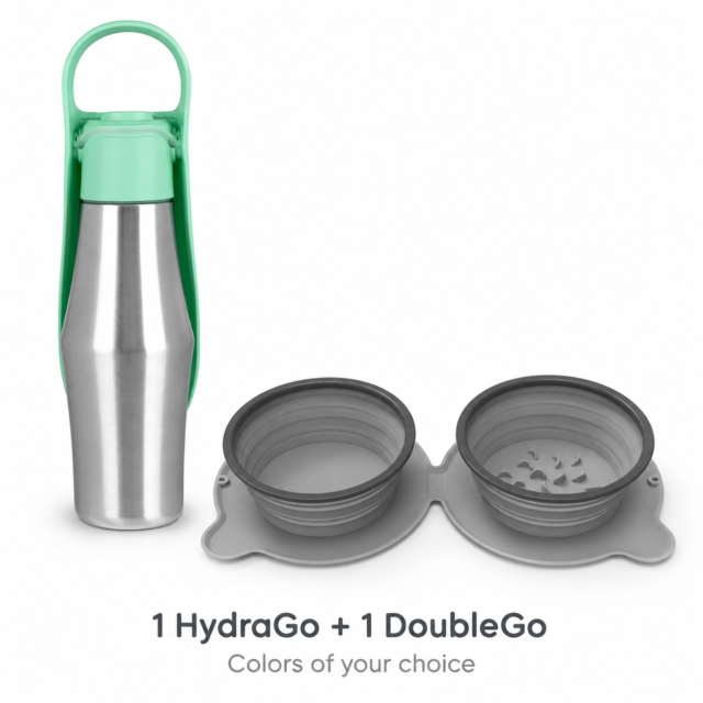 Road Trip Duo: one mint-green HydraGo bottle and one gray DoubleGo collapsible double bowl; colors of your choice.